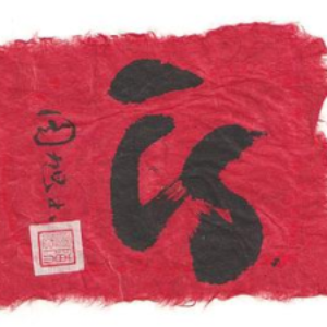 Photo of Sinda Wood Photo of Sinda Wood